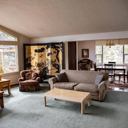 Private 313 Acre Retreat/Lakes/Direct Forest Entry Buena Vista Exterior foto