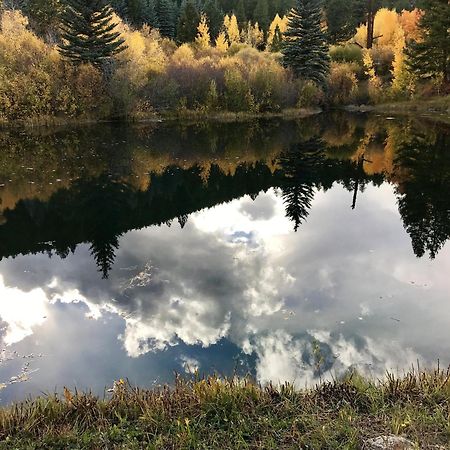 Private 313 Acre Retreat/Lakes/Direct Forest Entry Buena Vista Exterior foto