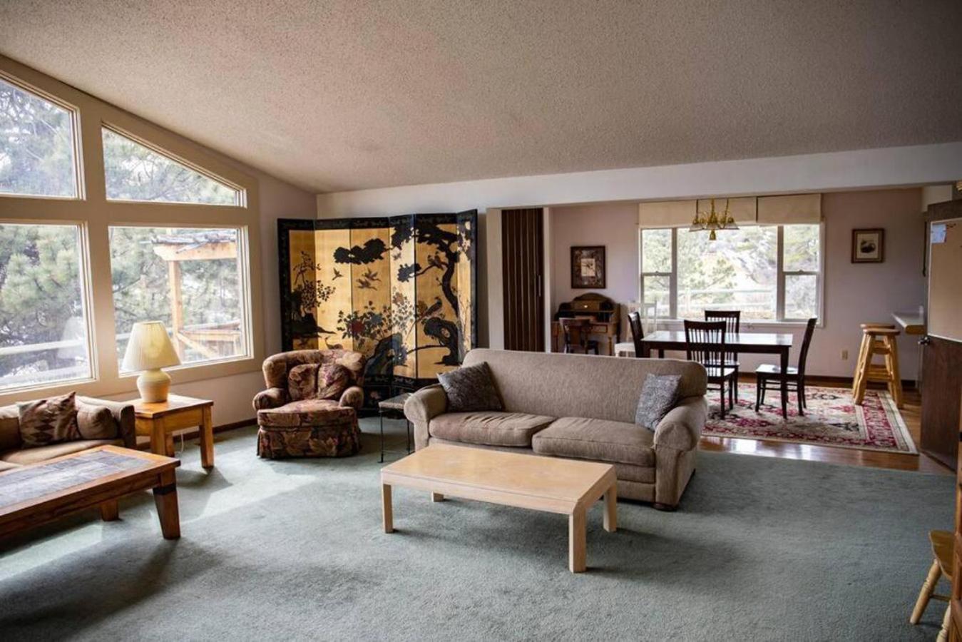 Private 313 Acre Retreat/Lakes/Direct Forest Entry Buena Vista Exterior foto