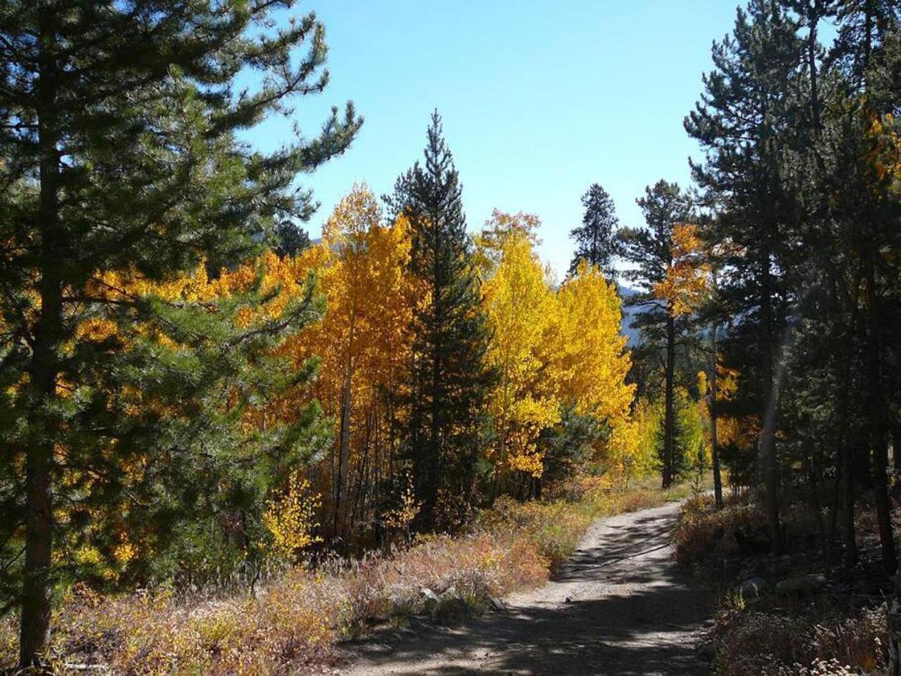 Private 313 Acre Retreat/Lakes/Direct Forest Entry Buena Vista Exterior foto