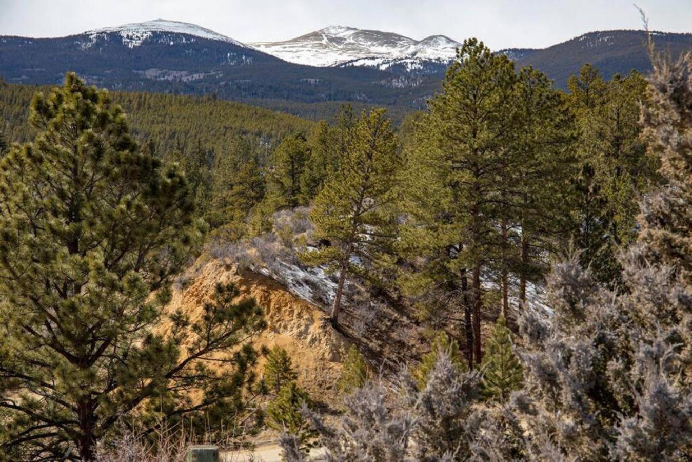 Private 313 Acre Retreat/Lakes/Direct Forest Entry Buena Vista Exterior foto