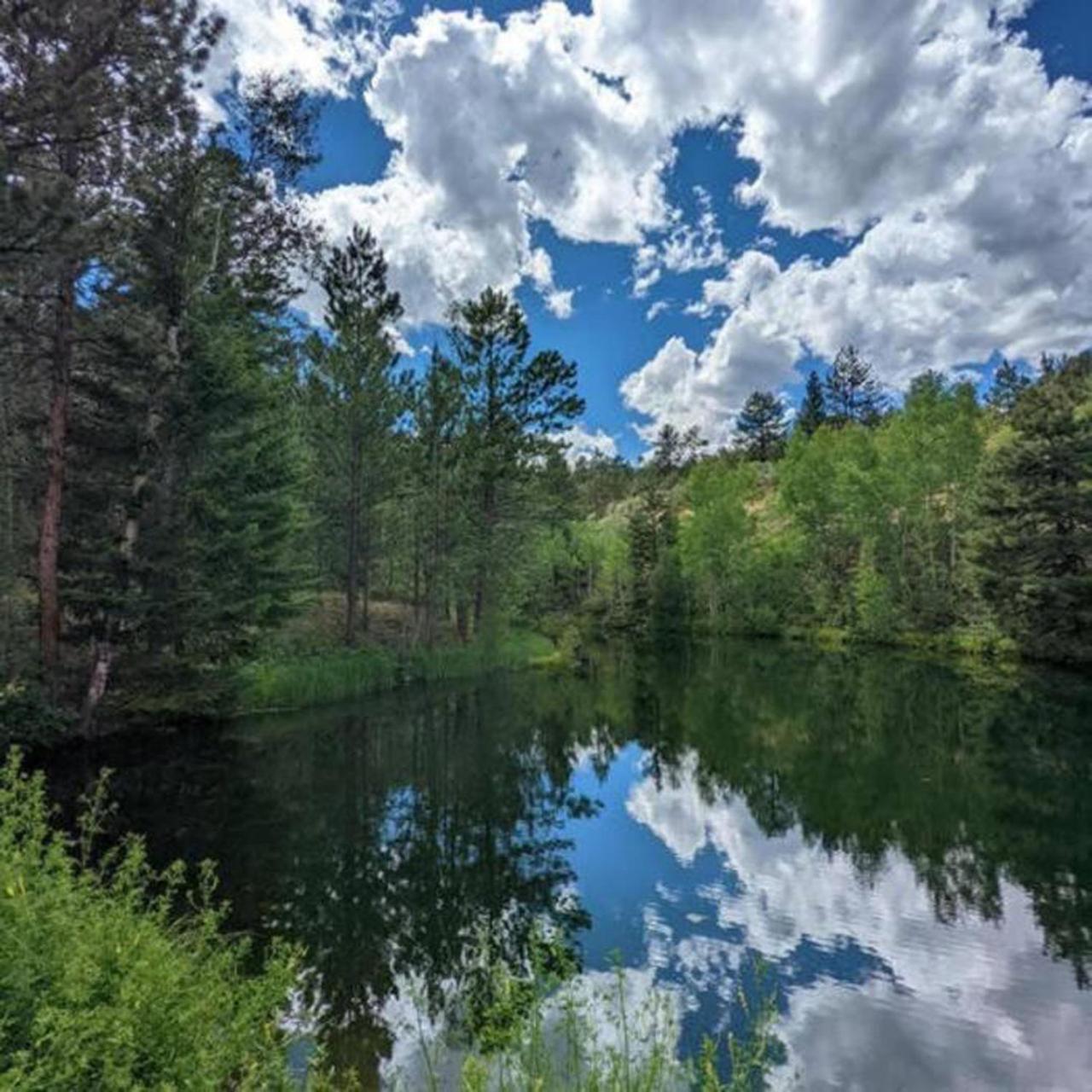 Private 313 Acre Retreat/Lakes/Direct Forest Entry Buena Vista Exterior foto