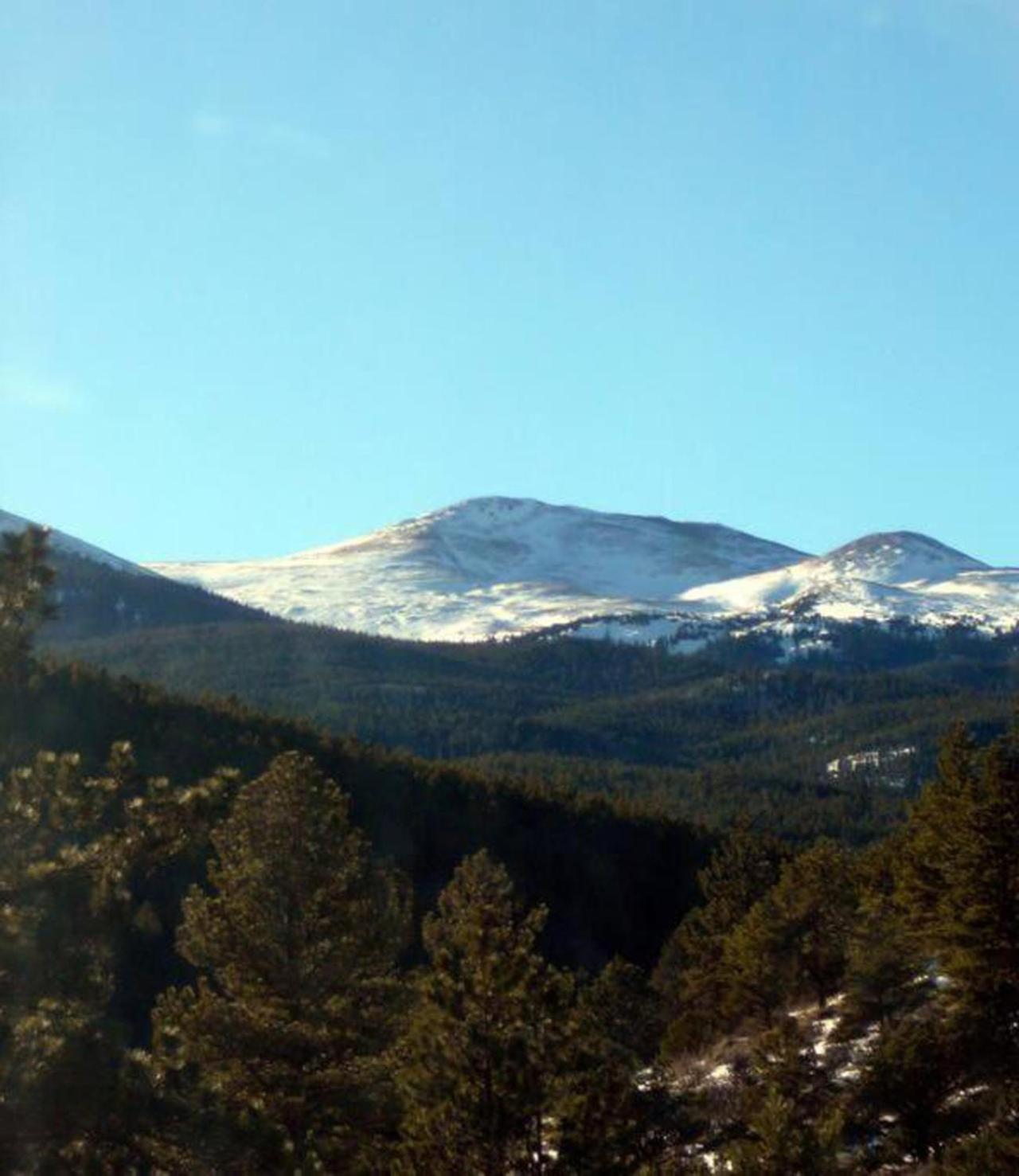 Private 313 Acre Retreat/Lakes/Direct Forest Entry Buena Vista Exterior foto