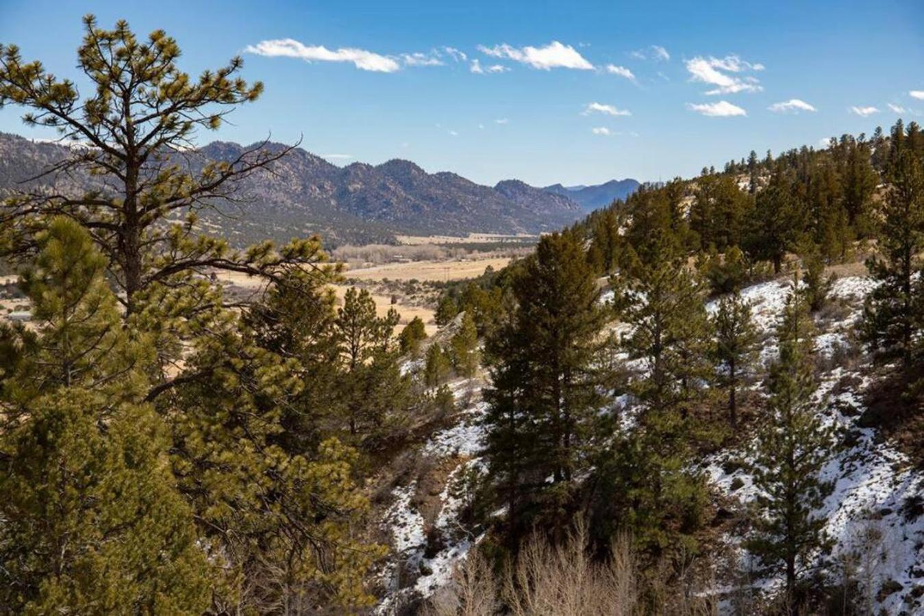 Private 313 Acre Retreat/Lakes/Direct Forest Entry Buena Vista Exterior foto