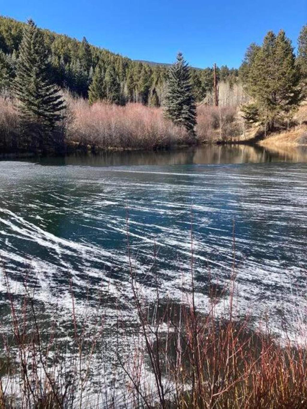 Private 313 Acre Retreat/Lakes/Direct Forest Entry Buena Vista Exterior foto