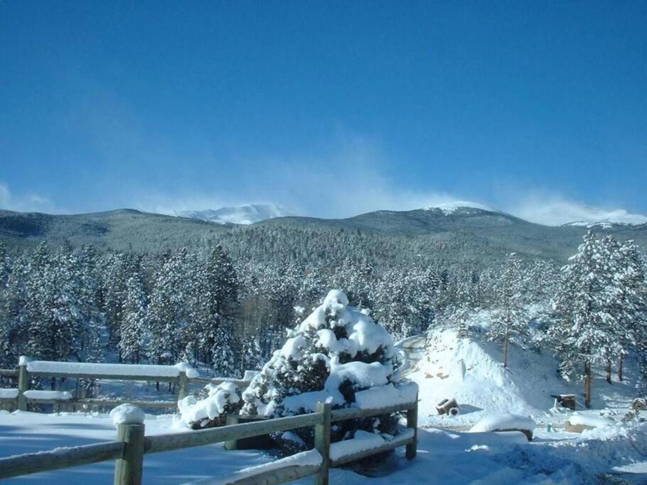 Private 313 Acre Retreat/Lakes/Direct Forest Entry Buena Vista Exterior foto