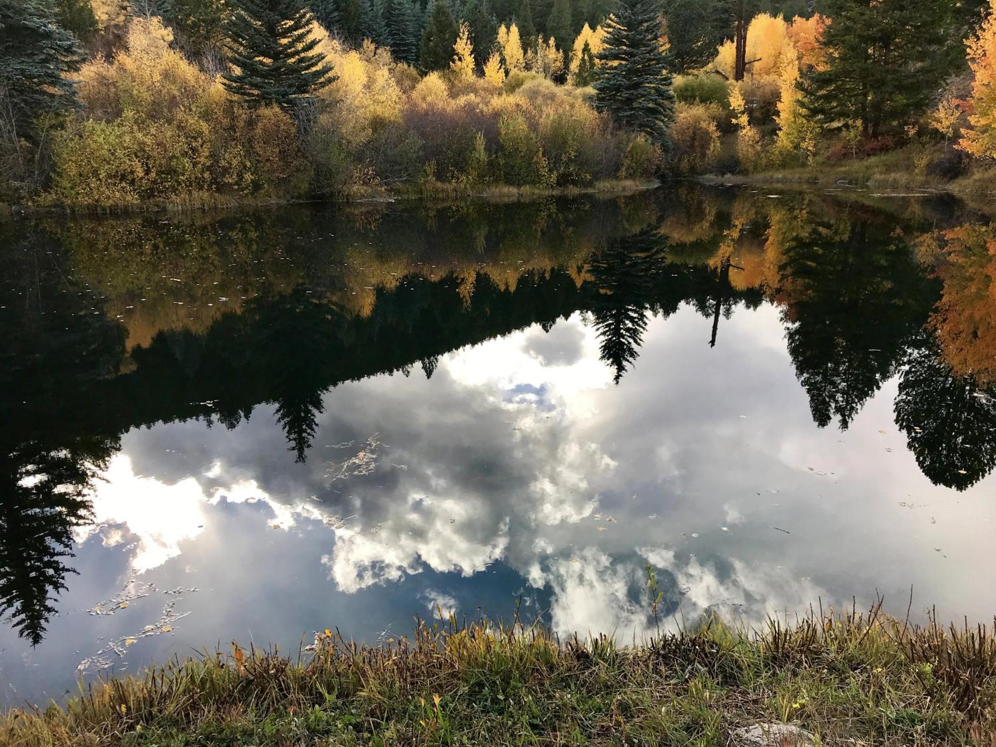 Private 313 Acre Retreat/Lakes/Direct Forest Entry Buena Vista Exterior foto